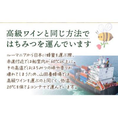 ふるさと納税 鏡野町 山田養蜂場ルーマニア産アカシア蜂蜜200g(ビン入り)×1個(85845) |  | 01