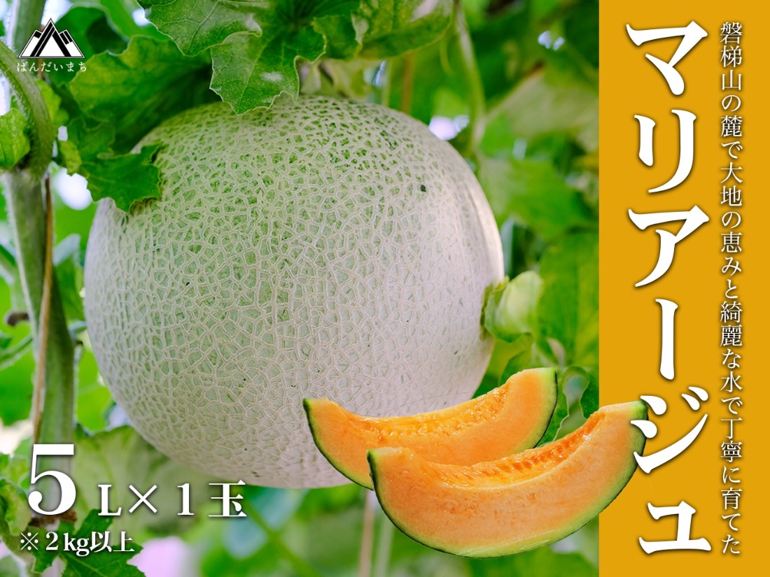 【期間限定】【数量限定】磐梯町産 赤肉メロン 『マリアージュ』 1 玉 5L サイズ　※8月10日以降順次発送