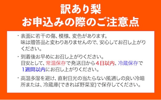 【2025年先行予約】【訳あり】王秋梨 約4kg (4~13玉) 高間商店《2025年10月下旬から2026年1月中旬頃出荷》 鳥取県 八頭町 梨 なし ナシ 果物 フルーツ ご家庭用 先行予約 ふる