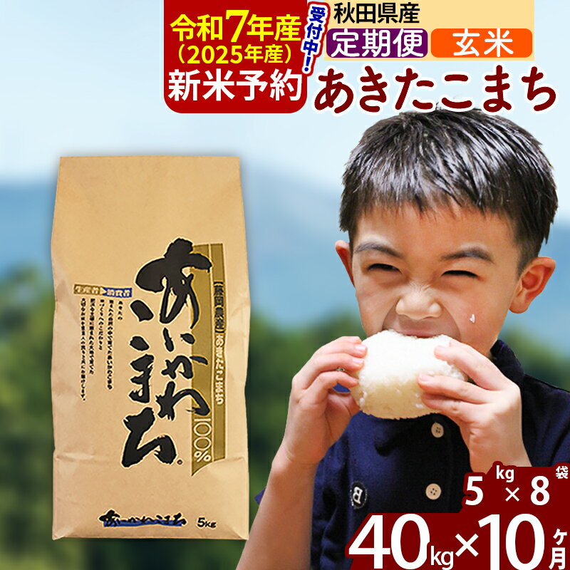 【ふるさと納税】※令和7年産 新米予約※《定期便10ヶ月》秋田県産 あきたこまち 40kg【玄米】(5kg小分け袋) 2025年産 お届け周期調整可能 隔月に調整OK お米 藤岡農産