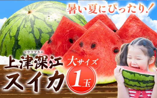 すいか スイカ 天草産 上津深江 スイカ 1玉 大サイズ 高橋商店《2027年6月末-8月上旬頃出荷》熊本県 苓北町 フルーツ 果物 くだもの すいか 西瓜 盆すいか 上津深江スイカ 熊本 夏 期間限定【配送不可地域あり】(北海道 沖縄 離島)
