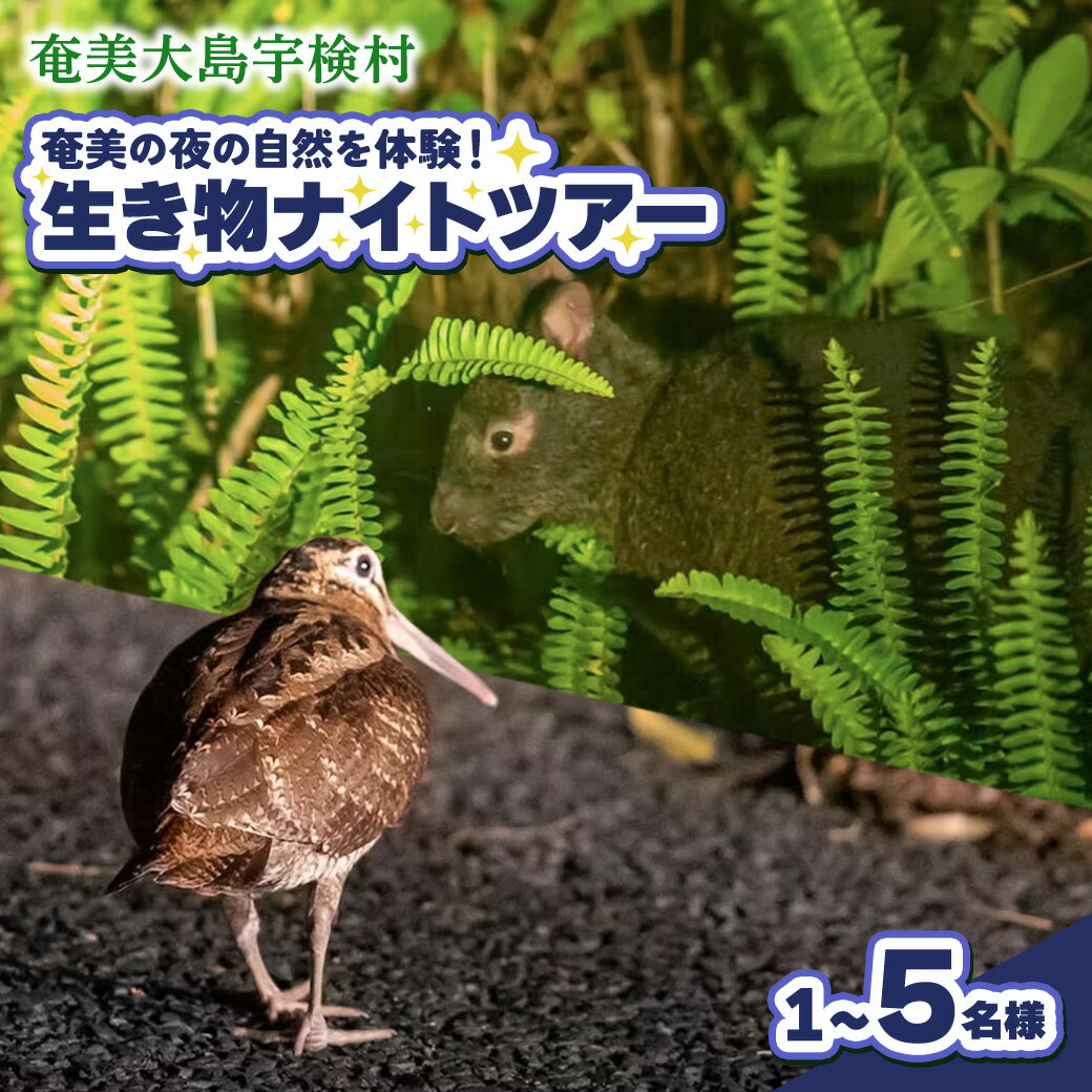 【ふるさと納税】生き物ナイトツアー 奄美大島 宇検村 鹿児島県 旅行 自然 冒険 完全プライベート