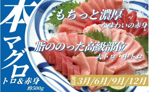 【3ヶ月定期便】海の幸定期便 【人気の国産うなぎ・牡蠣・本マグロを3回お届け】 / 海鮮 鰻 ウナギ 牡蠣 カキ まぐろ 鮪 人気 豪華 贈答 贈り物 ご褒美 お祝い ギフト プレゼント 【tkb60