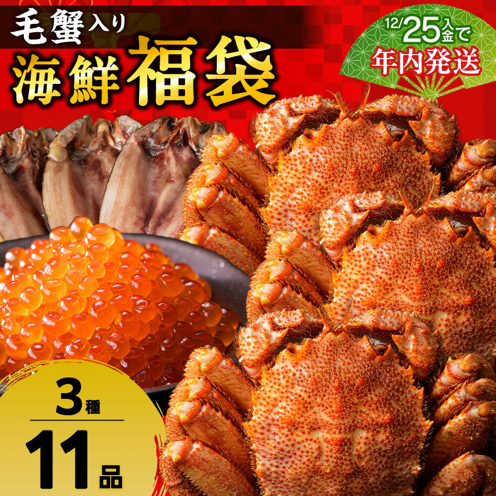 【ふるさと納税】毛蟹入り！海鮮福袋＜松＞いくら ほっけ 一夜干し ボイル 毛がに 毛ガニ 毛蟹 ボイル 蟹 カニ 海鮮 海産物 北海道ふるさと納税 稚内 ふるさと納税 北海道