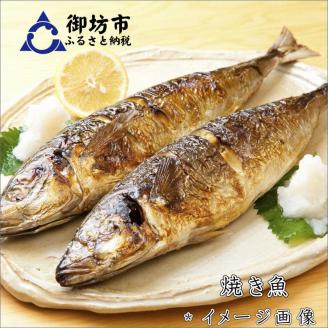 【8002-2】御坊産鮮魚セット 5kg 【定期便】(年4回お届け)【配送不可地域】沖縄・北海道・東北・九州