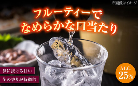 【全12回定期便】スイーツの香り！江田島の本格 芋焼酎 てくてく【安納芋】720ml×2本 さついまいも 人気 酒 食事 ギフト プレゼント 江田島市/峰商事 合同会社[XAD081]
