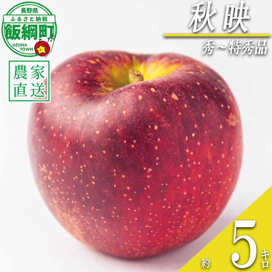 【ふるさと納税】 りんご 秋映 5kg 秀〜特秀 関果樹園もりんご 沖縄県への配送不可 〔 果物 フルーツ 林檎 長野 予約 農家直送 贈答用 5キロ 18000円 〕【令和8年度収穫分】 発送：2026年9月下旬〜