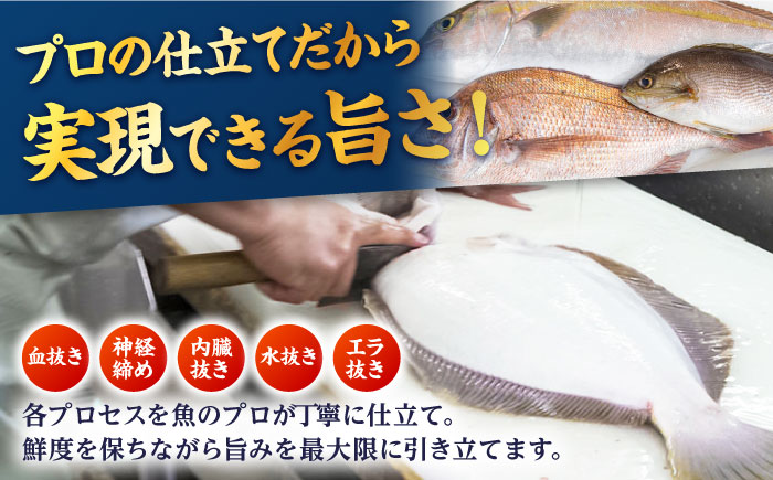 金澤仕立て 鮮魚ボックス（旬の魚1種・アオリイカ）五島市/金沢鮮魚 [PEP001]