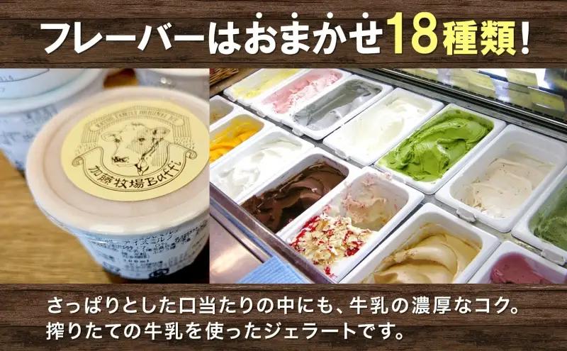 【加藤牧場】ノンホモ低温殺菌牛乳使用 ジェラート 18個入り アイス 氷 夏 暑い 猛暑 フレーバー 濃厚 さっぱり 人気 ご当地 スイーツ お菓子 食後 デザート 氷菓 牛乳 さっぱり コク お取り