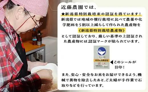 【精米】新潟県産コシヒカリ5kg（特別栽培米）近藤農園
