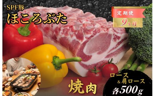 【9ヶ月定期便】千葉県産 下山農場 SPF豚 「 ほころぶた 」（ 焼き肉用 ） ／ SPF豚 豚肉 ほころぶた 焼き肉 焼肉 ロース 肩ロース 定期便
