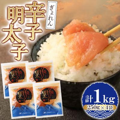 ふるさと納税 直方市 ぎょれん 辛子明太子 250g×4袋 1kg(直方市)