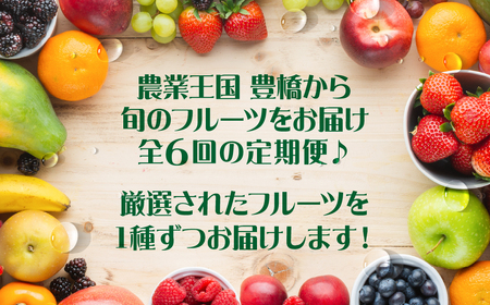 どうまい フルーツ 定期便 全6回 フルーツ定期便フルーツ定期便フルーツ定期便フルーツ定期便フルーツ定期便フルーツ定期便フルーツ定期便フルーツ定期便フルーツ定期便フルーツ定期便フルーツ定期便フルーツ定