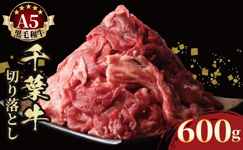 
            牛肉 切り落とし 千葉牛 A5 黒毛和牛 訳あり 600g 牛 国産 国産牛 肉切り落とし 牛切り落とし 牛肉切り落とし 黒毛和牛 和牛 A5ランク スライス 牛肉スライス すき焼き 肉じゃが 牛丼 カレー ギフト プレゼント 贈り物 簡単調理 千葉県 旭市 株式会社SCミート ksc002
          