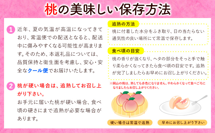 【先行予約】清水白桃  約900g もも モモ 岡山 国産 フルーツ 果物 桃茂實苑《7月中旬-8月上旬頃出荷》岡山県 浅口市 フルーツ モモ 果物 青果 旬 白桃 国産 岡山県産【配送不可地域あり】