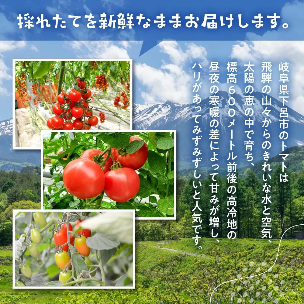 【期間限定】 飛騨トマト 麗月大玉 20玉 トマト【27-1】