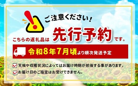【先行受付】【7月】 信州松本産・旬の野菜 おまかせセット（約10～12品）