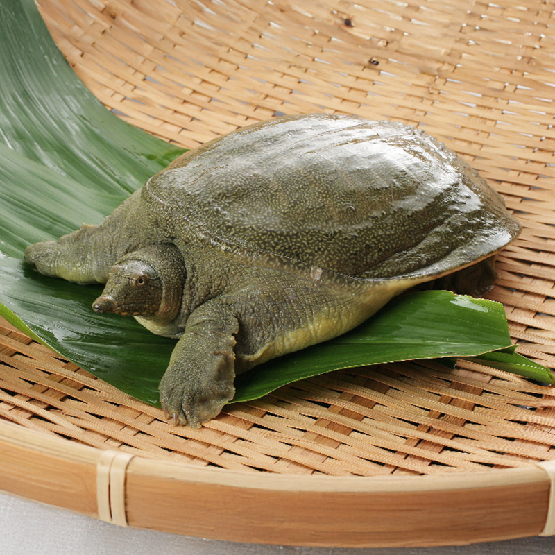 姫路瓢亭本店御食事券5万円分