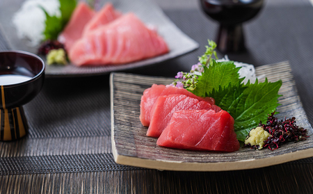 【2026年3月11日発送】 本マグロ ブロック 4.8～5.5kg 媛まぐろ ダイニチ ﾏｸﾞﾛﾏｸﾞﾛﾏｸﾞﾛﾏｸﾞﾛﾏｸﾞﾛﾏｸﾞﾛﾏｸﾞﾛ D130-031003-260311