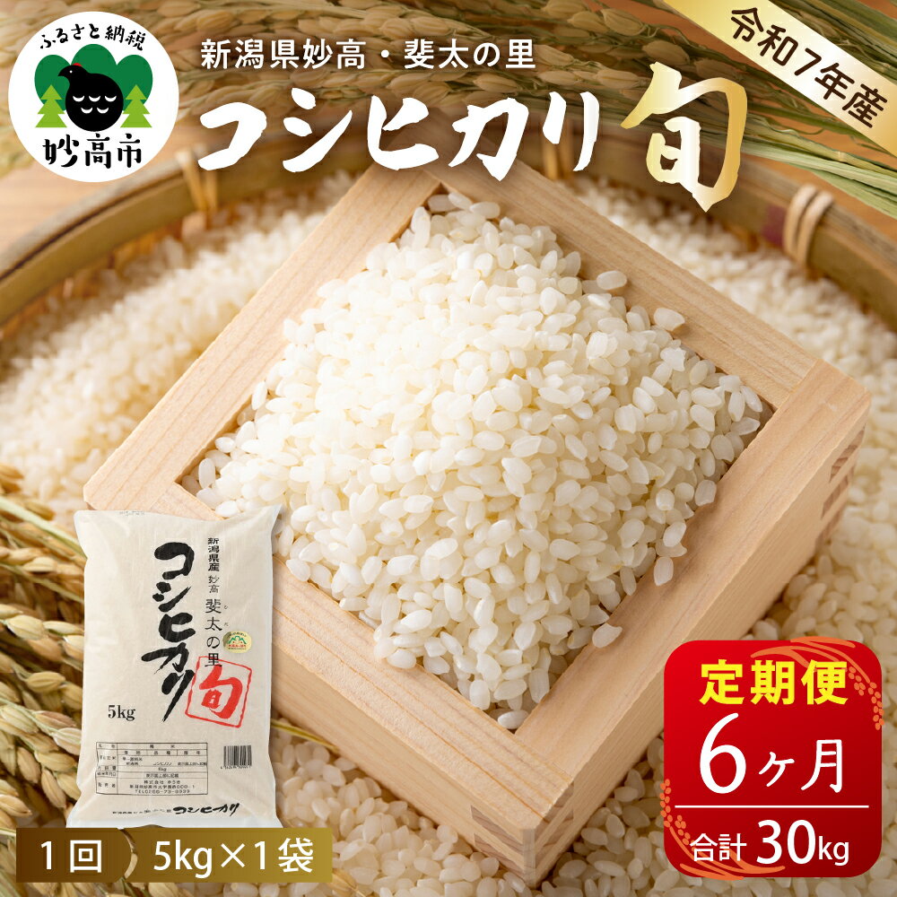 【ふるさと納税】米【定期便】令和7年産 新潟県 妙高産 斐太の里 コシヒカリ 「 旬 」 5kg ×6回 (計30kg) 【発送時期が選べる】 妙高市