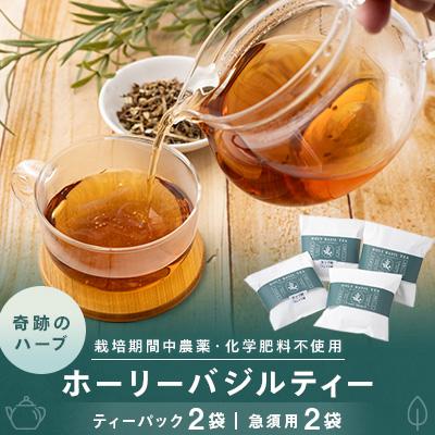 ふるさと納税 大子町 【奇跡のハーブ】 ホーリーバジルティー　ティーパック2袋・急須用2袋　計4袋|紅茶 爽やか