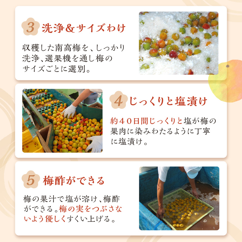 紀州南高梅使用 はちみつ梅(塩分8%) 1.5kg（和歌山県産）