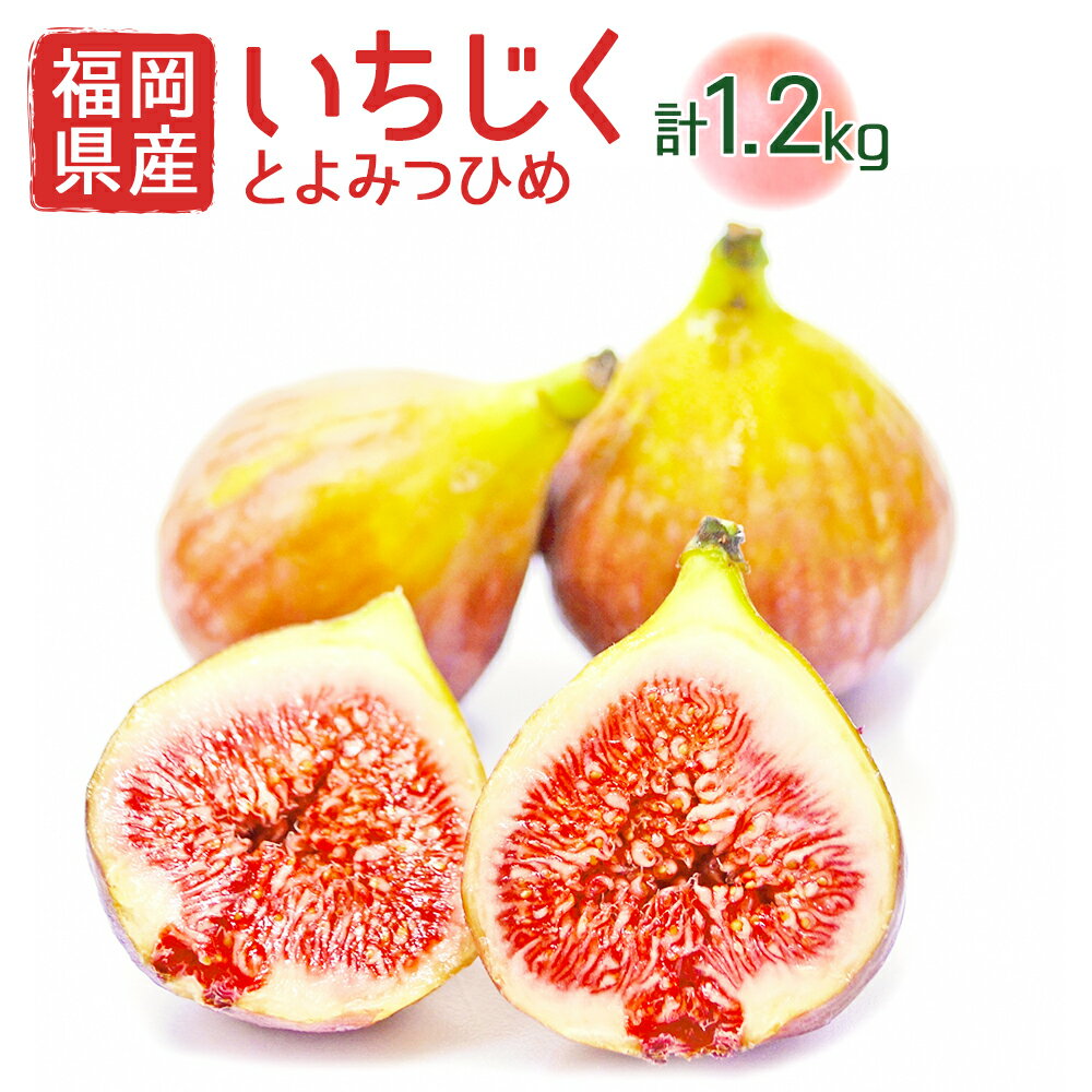 【ふるさと納税】福岡県産 とよみつひめ 約300g×4パック 計約1.2kg イチジク いちじく 無花果 フルーツ くだもの 果物 冷蔵 福岡県産 送料無料 【2025年8月より順次発送】 [F2223a]