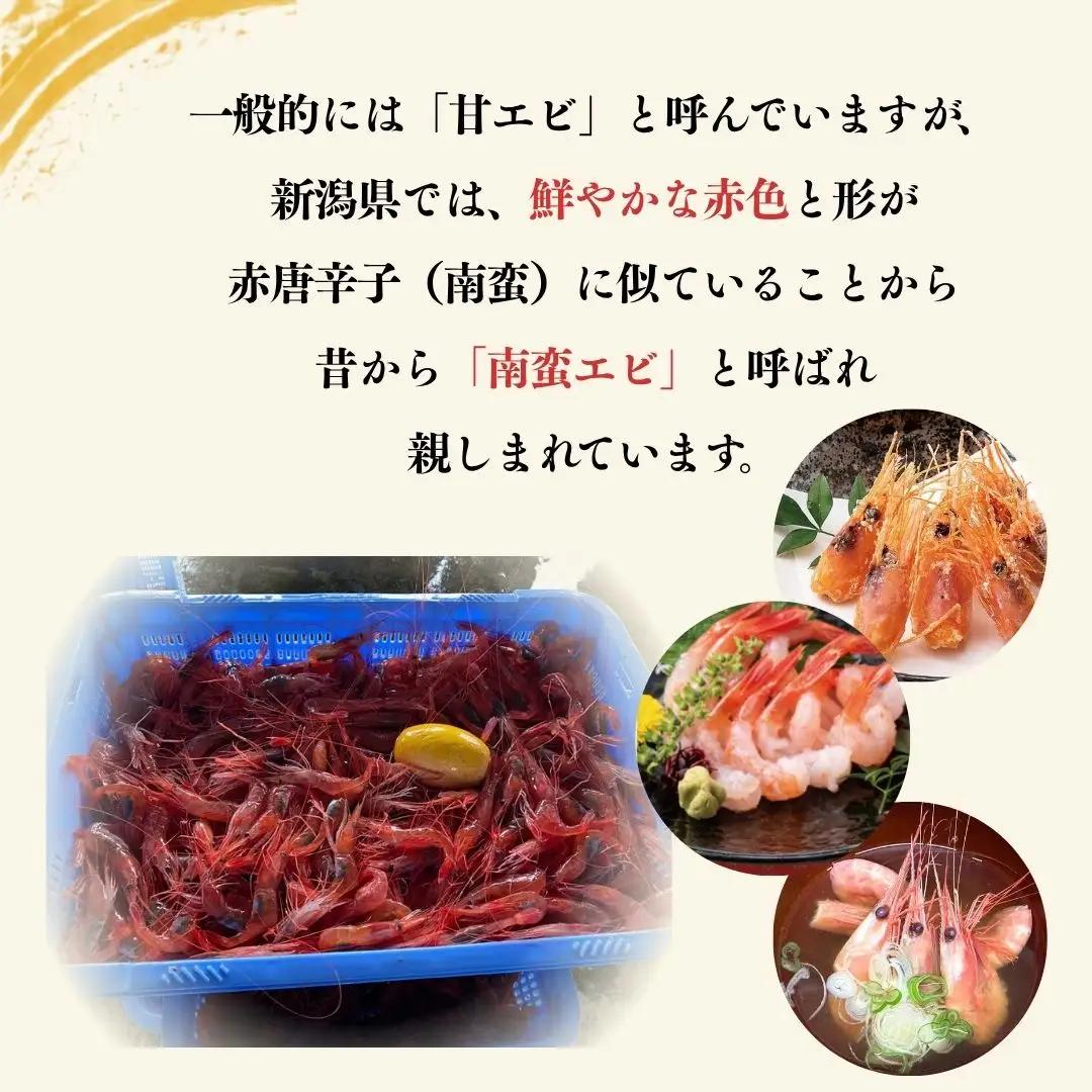 甘エビ 生鮮 400g | 新潟県 佐渡市 南蛮エビ