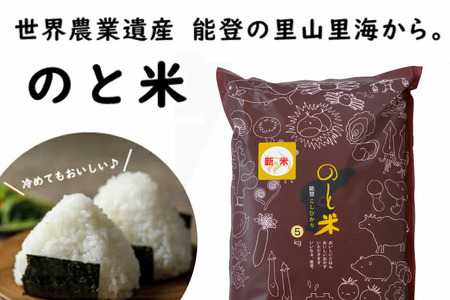 米 令和7年 のと米 こしひかり 精米 5kg 3回定期便 計15kg [はくい農業協同組合 石川県 宝達志水町 38601274]