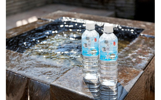おいしい大垣の水（500ｍｌ×24本）　自噴水を使ったミネラルウォーター 飲料 岐阜県 大垣市