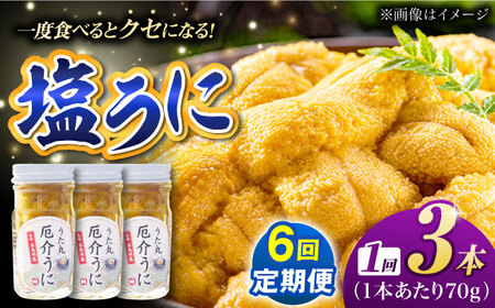 【全6回定期便】厄介うに ガンガゼ塩うに 70g×3本 / ウニ 雲丹 五島市 / うた丸[PGA004]