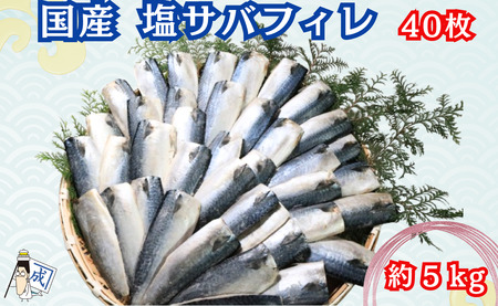 国産 塩サバ フィレ 40枚 約５kg 冷凍 大容量 千葉県 銚子市 大成 塩鯖 塩ｻﾊﾞ ｻﾊﾞ 鯖 国産 塩鯖 塩ｻﾊﾞ ｻﾊﾞ 鯖 国産 塩鯖 塩ｻﾊﾞ ｻﾊﾞ 鯖 国産 塩鯖 塩ｻﾊﾞ ｻﾊﾞ 鯖 国産 塩鯖 塩ｻﾊﾞ ｻﾊﾞ 鯖 国産 塩鯖 塩ｻﾊﾞ ｻﾊﾞ 鯖 国産 塩鯖 塩ｻﾊﾞ ｻﾊﾞ 鯖 国産 塩鯖 塩ｻﾊﾞ ｻﾊﾞ 鯖 国産 塩鯖 塩ｻﾊﾞ ｻﾊﾞ 鯖 国産 塩鯖 塩ｻﾊﾞ ｻﾊﾞ 鯖 国産 塩鯖 塩ｻﾊﾞ ｻﾊﾞ 鯖 国産 塩鯖 塩ｻﾊﾞ ｻﾊﾞ 鯖 国産 塩鯖 塩ｻﾊﾞ ｻﾊﾞ 鯖 