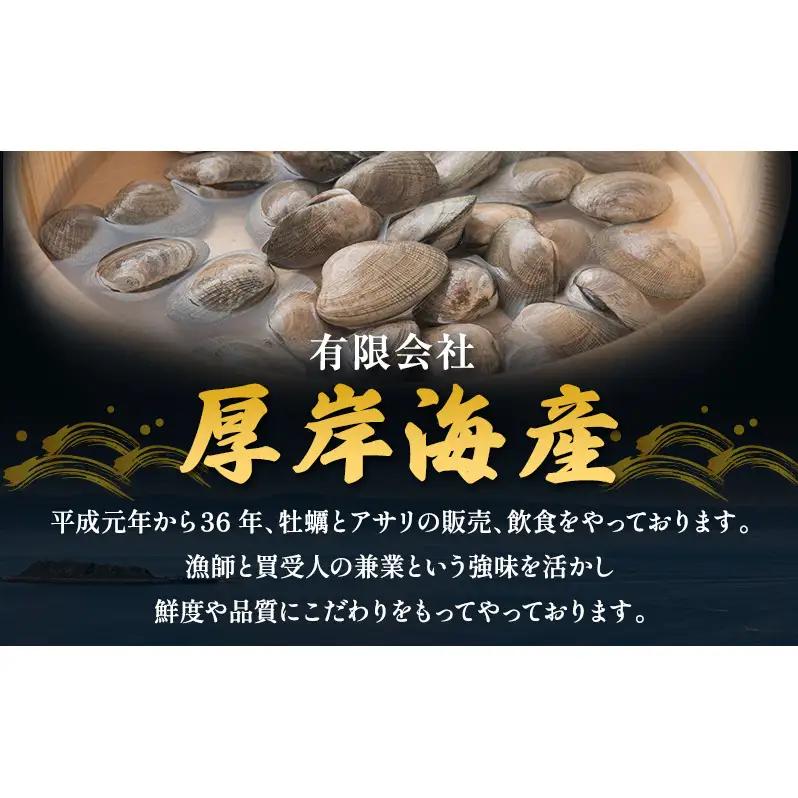 【3カ月 定期便 】訳あり 北海道 厚岸産 砂出し済み 活あさり 1kg×2 (合計2kg) 【厚岸海産】[ アサリ 魚貝 海鮮 大粒 美味しい 栄養 旨み 砂出し 水洗い 冷蔵 便利 ]