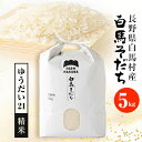 【ふるさと納税】【令和6年産】『白馬そだち』長野県白馬村産　お米　ゆうだい21　5kg(精米)【1468505】