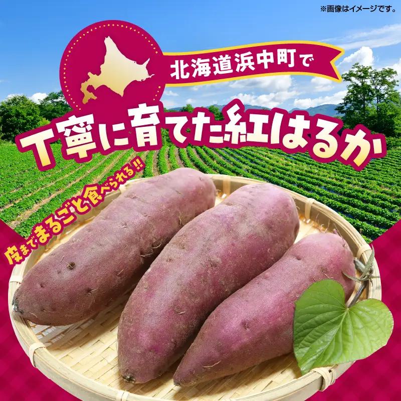 紅はるかの冷凍焼き芋(計1kg)_H0049-103