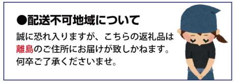 果肉ぷりぷり!完熟はるみ5kg　※2025年2月上旬頃?下旬頃に順次発送予定(お届け日指定不可)【uot732】