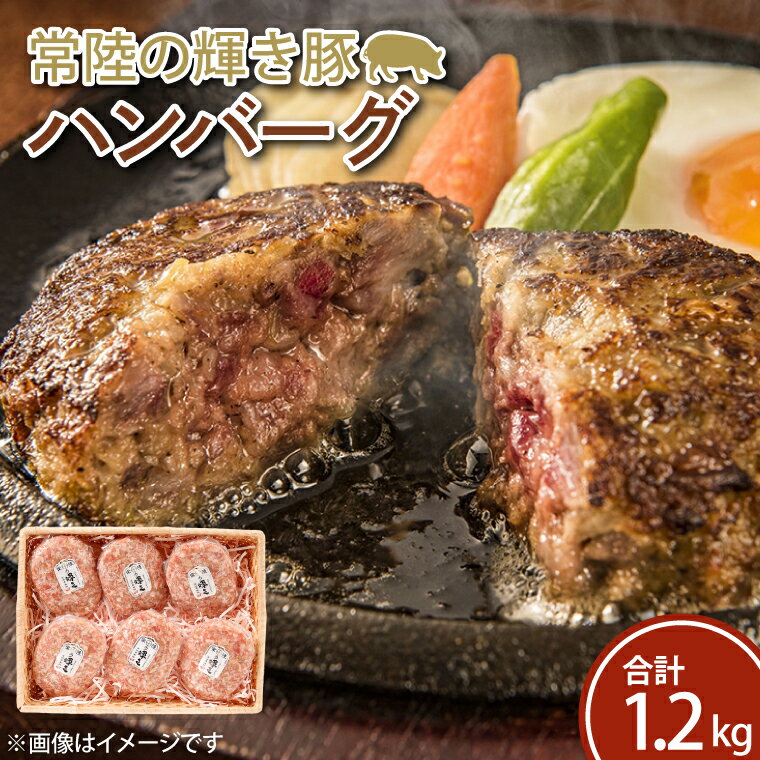 【ふるさと納税】常陸の輝き豚ハンバーグ　約200g×6パック(FQ-1)