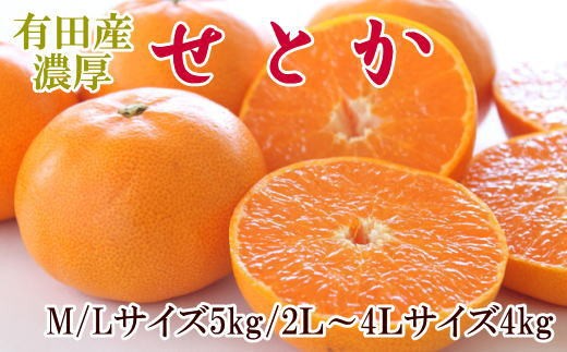 
                  【2027年先行予約】一度は食べていただきたい 有田産のせとか 4～5kg（サイズおまかせ）_ZD7002
                