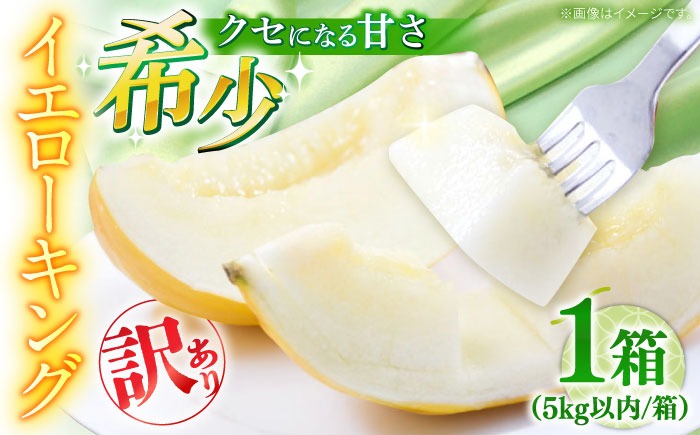 【2027年5月〜発送】訳あり メロン イエローキング 1箱 5kg以内 （3～6玉）/ メロン めろん フルーツ 果物 / 南島原市 / 南島原果物屋[SCV042]