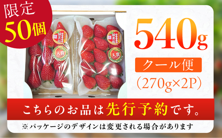 【先行予約 2025年2月より発送】 〈幻のイチゴ〉綾美姫270g×2  いちご 苺 果物 フルーツ 人気 希少 広川町 / 石川農園[AFCC001]