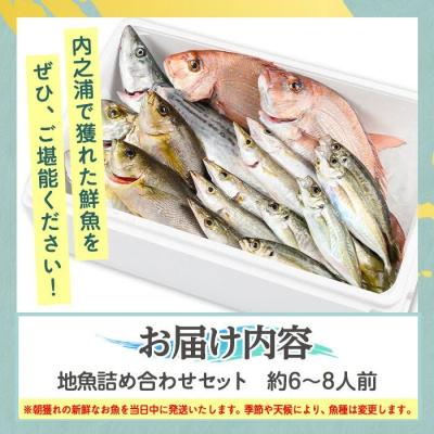 ふるさと納税 肝付町 魚屋さんの選んだ新鮮お魚詰め合わせ(約6〜8人分)　C09001 |  | 03