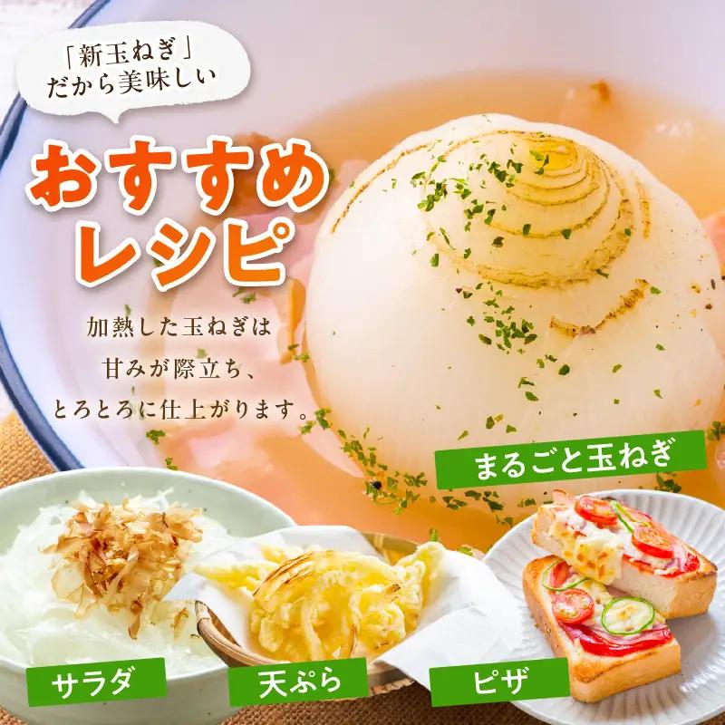 【玉ねぎ】訳あり 新たまねぎ 7kg | 玉ねぎ