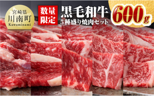 
黒毛和牛5種盛り 焼肉セット（数量限定）600g 【 肉 牛肉 国産 宮崎県産 黒毛和牛 ミヤチク BBQ バーベキュー 送料無料 】
