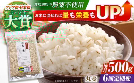 【全6回定期便】栽培期間中農薬不使用 丸麦 500g ( 1等麦使用 ) 【葦農】[HAJ041] 麦 雑穀 雑穀米 麦ごはん 1等麦 特別栽培農産物 佐賀 食物繊維 500g ご飯 定期便