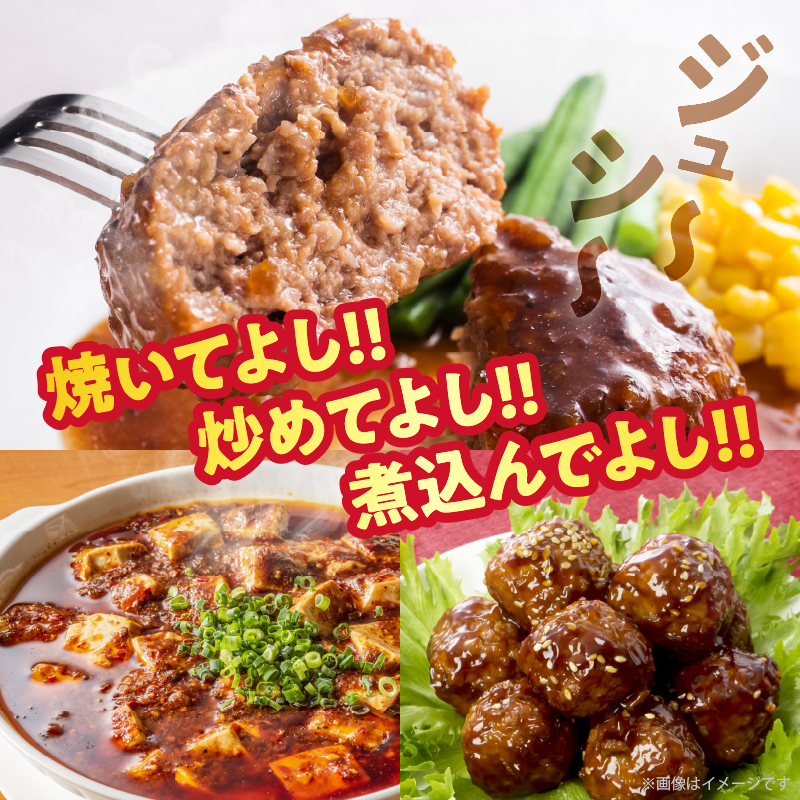 【2週間以内発送】宮崎県産豚ミンチ肉 計1.2kg(300g×4パック) 肉 豚 豚肉 国産_T025-041