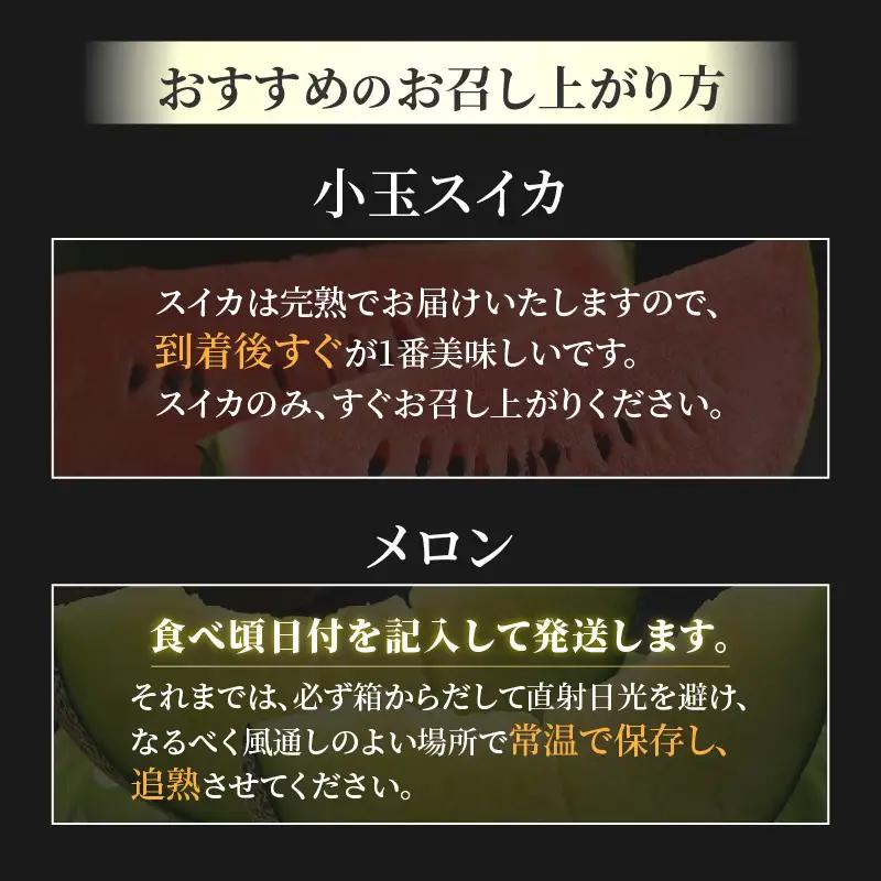 【先行予約】《定期便全2回》佐藤農園のフルーツ定期便 朝採り 計4玉（小玉スイカ・マルセイユメロン・レノンメロン・ペルルメロン）農家直送 秀品 お届け！※2027年5月下旬～7月末の間に順次発送 [a