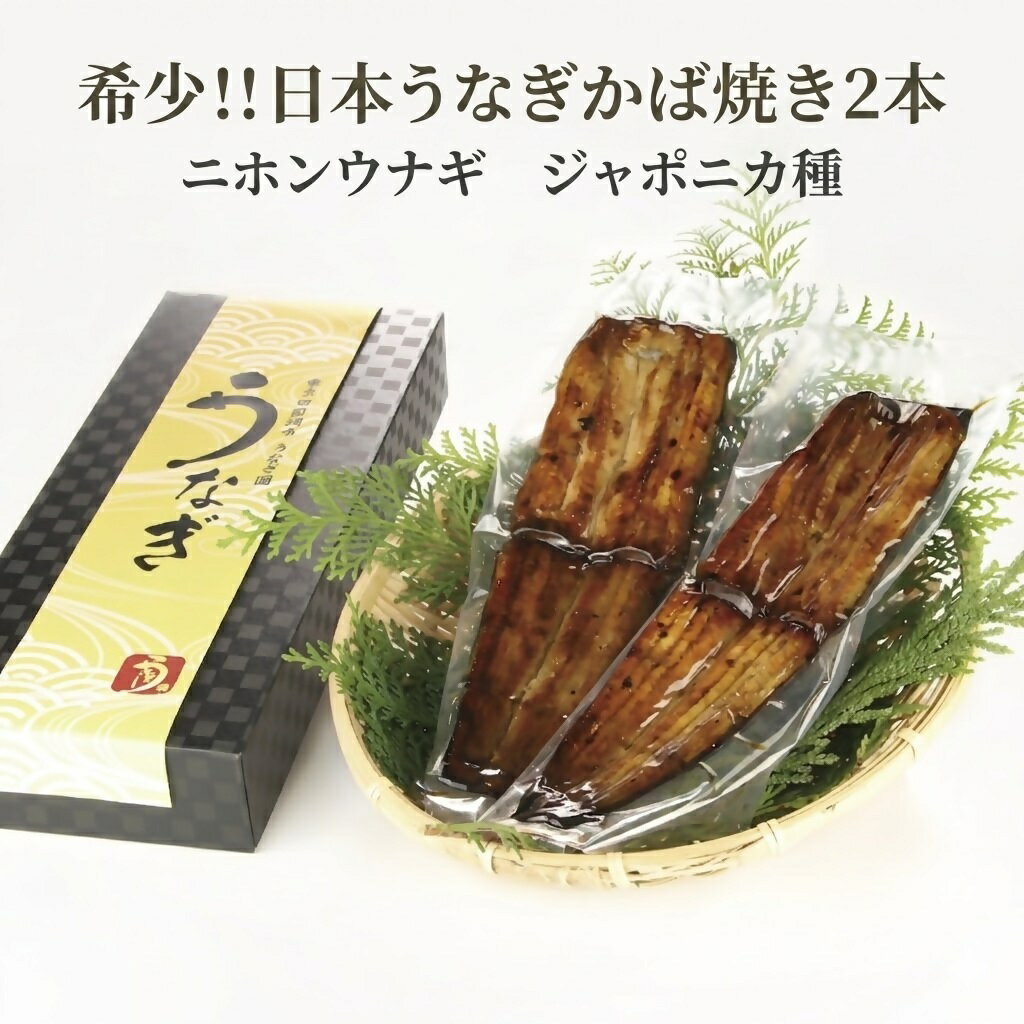 【ふるさと納税】希少！純国産 日本うなぎ かば焼き 2本 ニホンウナギ ジャポニカ種 秘伝のタレ 冷凍 かばはうす 東京田園調布うなぎ圓米子本店 ウナギ 鰻 蒲焼き 丑の日 お取り寄せ グルメ 鳥取県 米子市