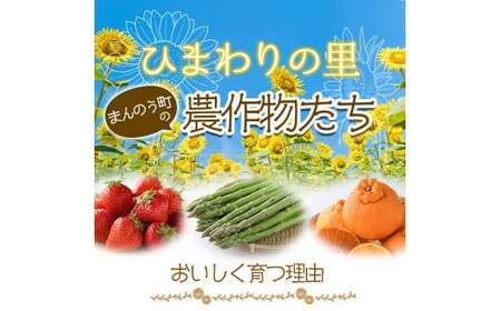 ＜先行予約！2026年6月上旬以降順次発送予定＞ホワイトコーン(約3kg/通常品) 香川県 国産 とうもろこし トウモロコシ 新鮮 冷蔵便 【man110・man111】【Aglio nero】