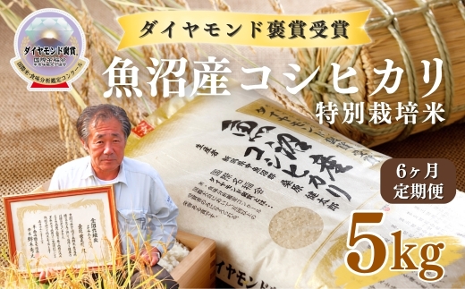 【令和8年産先行予約】【6ヶ月定期便】魚沼産コシヒカリ 5kg(5kg×1袋) 特別栽培米 ダイヤモンド褒賞受賞 |  新潟産コシヒカリ 新潟県産コシヒカリ 魚沼産こしひかり 米 お米 こしひかり 白米 精米 ブランド米 最高級 新潟県 津南町