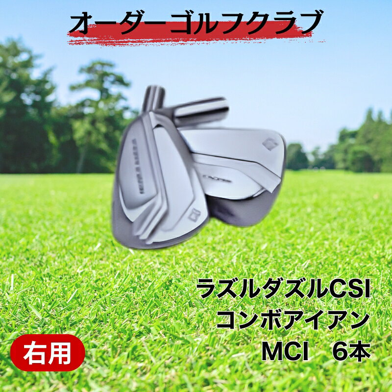 【ふるさと納税】ゴルフ ゴルフクラブ ラズルダズルCSIコンボアイアン MCI フジクラ STMグリップオーダーメイド アイズファクトリー｜F65